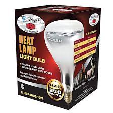 Heat Lamp Light Bulb 250W  Clear -  B-HLR40C250W